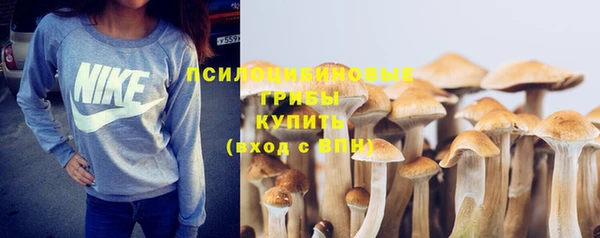 не бодяженный Сосновоборск