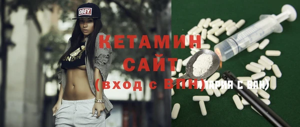 индика Горняк