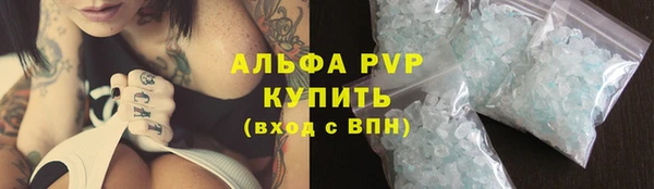 индика Горняк