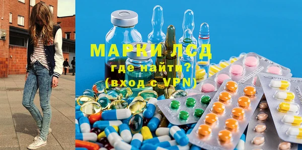 индика Горняк