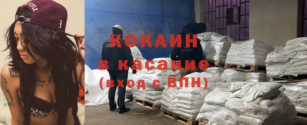 индика Горняк