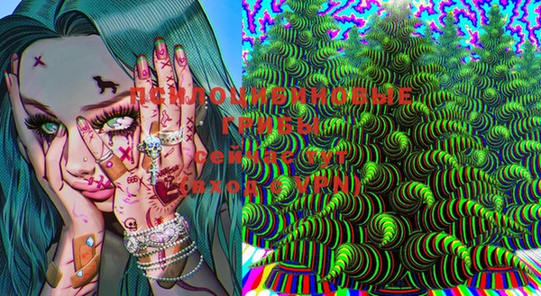 индика Горняк