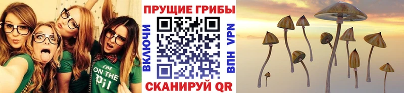 Галлюциногенные грибы прущие грибы  купить наркоту  Приморск 