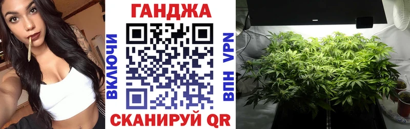 продажа наркотиков Приморск Бошки Шишки Amnesia